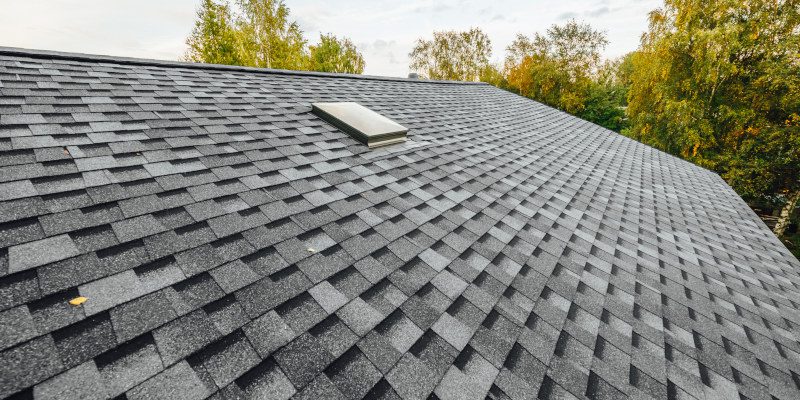 Shingle Roofs in Columbus, Georgia