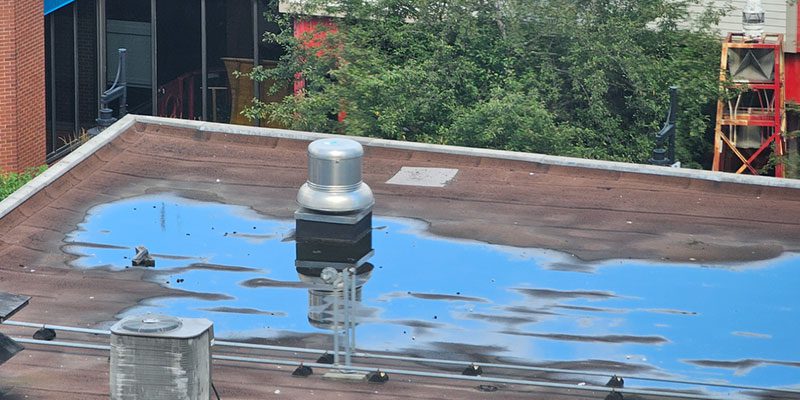Roof Repair: An Ounce of Prevention Is Worth the Time to Cure